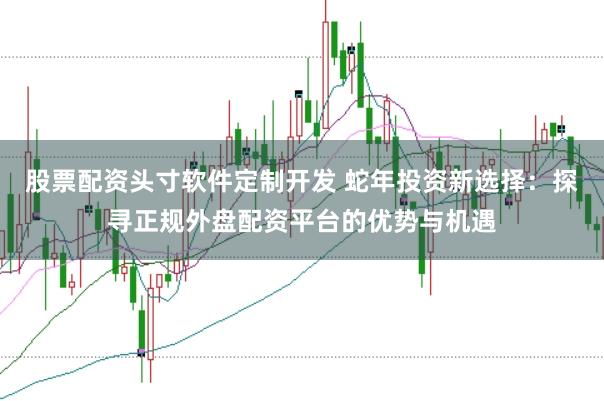 股票配资头寸软件定制开发 蛇年投资新选择：探寻正规外盘配资平台的优势与机遇