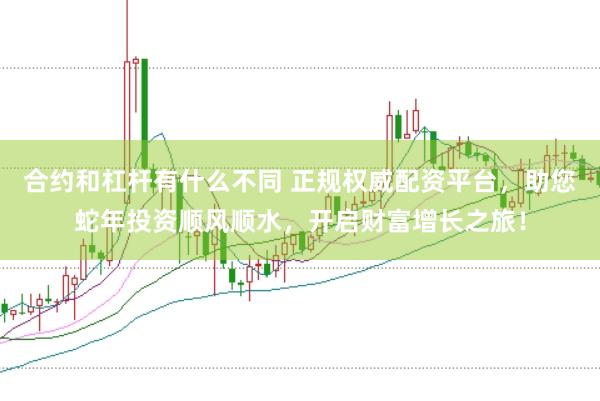 合约和杠杆有什么不同 正规权威配资平台，助您蛇年投资顺风顺水，开启财富增长之旅！