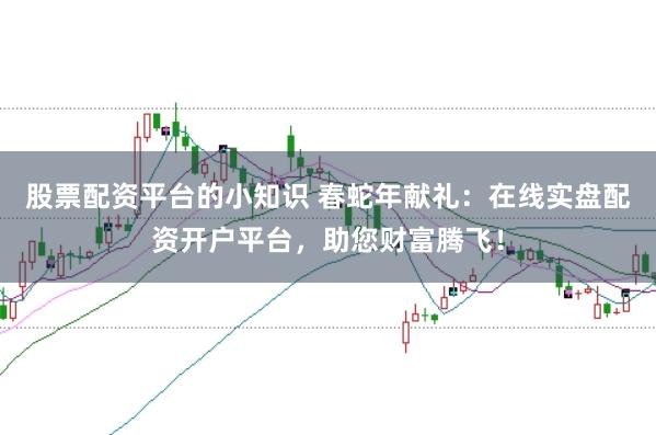 股票配资平台的小知识 春蛇年献礼：在线实盘配资开户平台，助您财富腾飞！