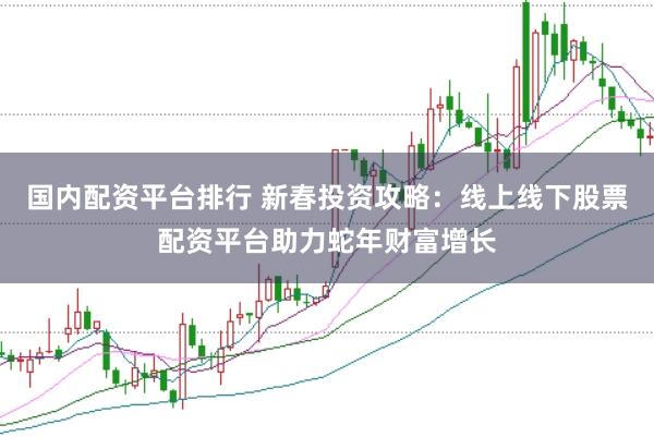 国内配资平台排行 新春投资攻略：线上线下股票配资平台助力蛇年财富增长