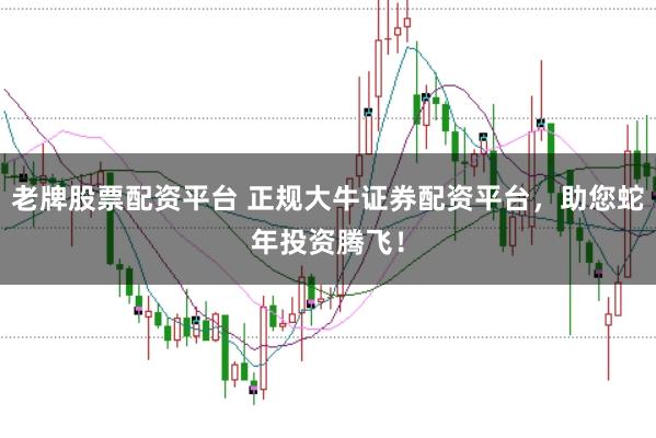 老牌股票配资平台 正规大牛证券配资平台，助您蛇年投资腾飞！