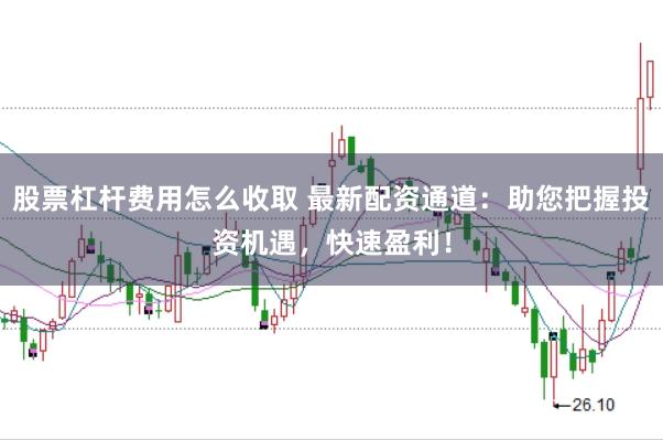股票杠杆费用怎么收取 最新配资通道：助您把握投资机遇，快速盈利！