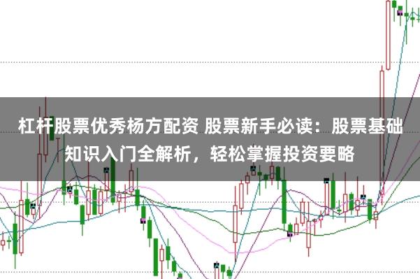 杠杆股票优秀杨方配资 股票新手必读：股票基础知识入门全解析，轻松掌握投资要略
