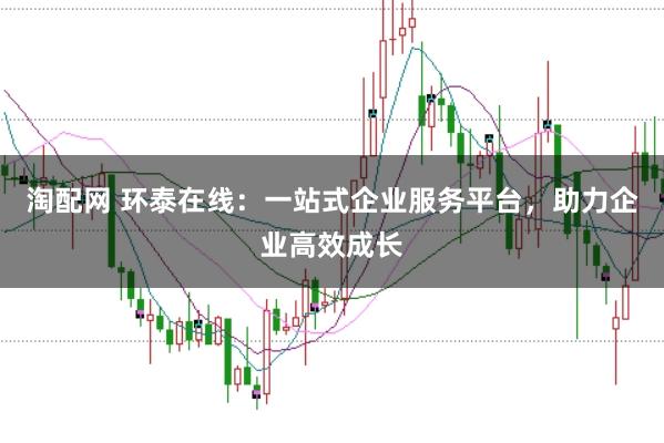 淘配网 环泰在线：一站式企业服务平台，助力企业高效成长