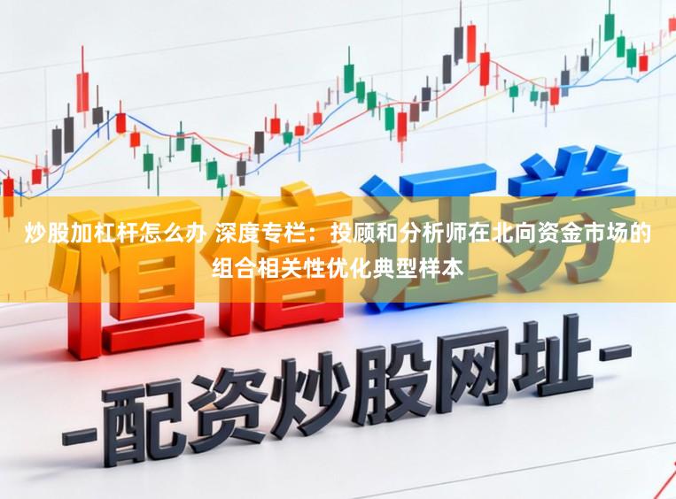 炒股加杠杆怎么办 深度专栏：投顾和分析师在北向资金市场的组合相关性优化典型样本