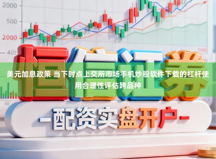 美元加息政策 当下时点上交所市场手机炒股软件下载的杠杆使用合理性评估跨品种