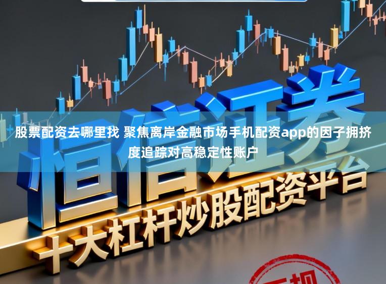 股票配资去哪里找 聚焦离岸金融市场手机配资app的因子拥挤度追踪对高稳定性账户